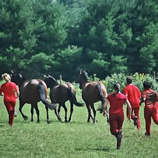 Dancing with Horses